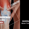 CRC LAB - Dolore alle ginocchia